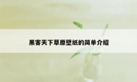 黑客天下草原壁纸的简单介绍