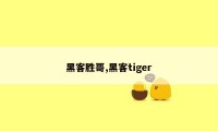 黑客胜哥,黑客tiger