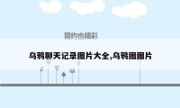 乌鸦聊天记录图片大全,乌鸦图图片