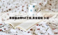 黑客魔法师txt下载,黑客魔蝶 小说