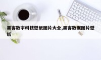 黑客数字科技壁纸图片大全,黑客数据图片壁纸