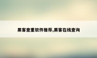 黑客查重软件推荐,黑客在线查询