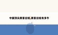 中国顶尖黑客日娃,黑客日娃有多牛