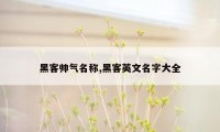 黑客帅气名称,黑客英文名字大全