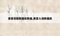 黑客获取数据库数据,黑客入侵数据库