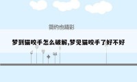 梦到猫咬手怎么破解,梦见猫咬手了好不好