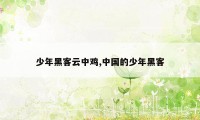 少年黑客云中鸡,中国的少年黑客