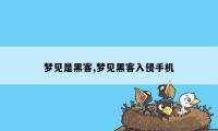 梦见是黑客,梦见黑客入侵手机