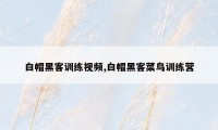 白帽黑客训练视频,白帽黑客菜鸟训练营