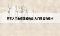 黑客入门全程图解微盘,入门黑客教程书