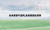 未来黑客牛逼吗,未来黑客的发展