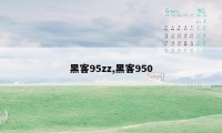 黑客95zz,黑客950