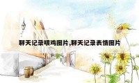 聊天记录喂鸡图片,聊天记录表情图片