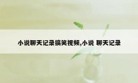 小说聊天记录搞笑视频,小说 聊天记录